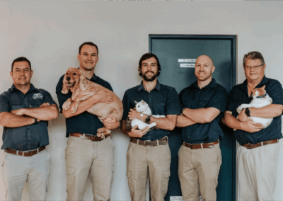George Animal Hospital